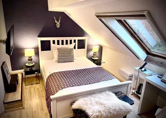 Am Volksgarten מלון דיסלדורף